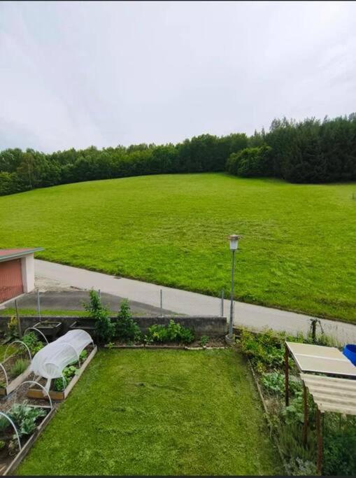 Niklasdorf Bergblick/Erholung Eksteriør bilde